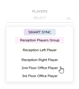player-selection-drop-down-zoom.png