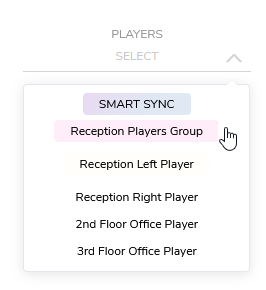 player-selection-drop-down-zoom-tags.png