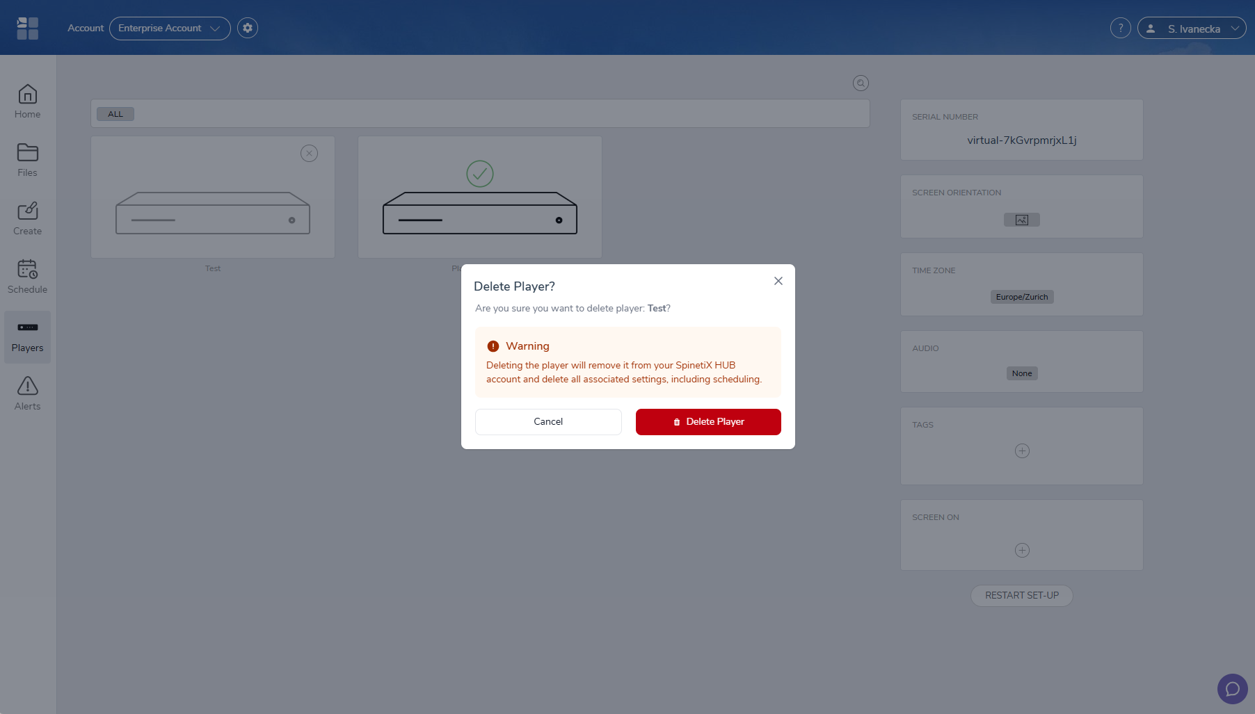 Player deletion confirmation in SpinetiX ARYA